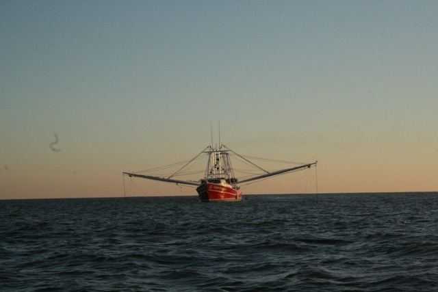 20121114-192757.jpg
