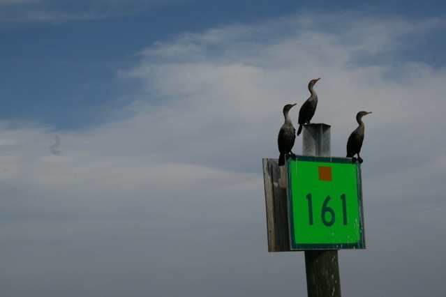 20121114-203407.jpg