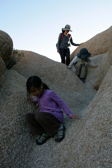 JoshuaTreeHike