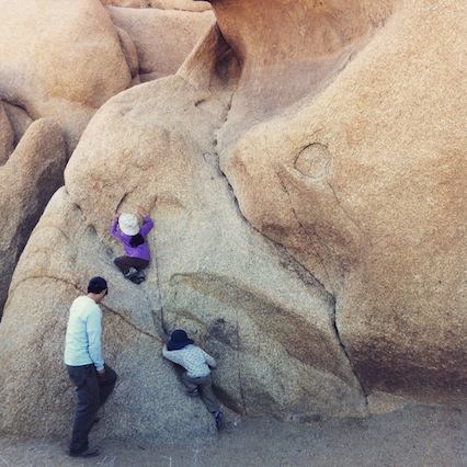 JoshuaTreeSkullRock