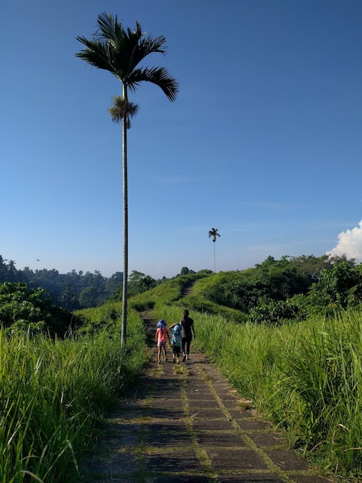 Ubud_Geocache4