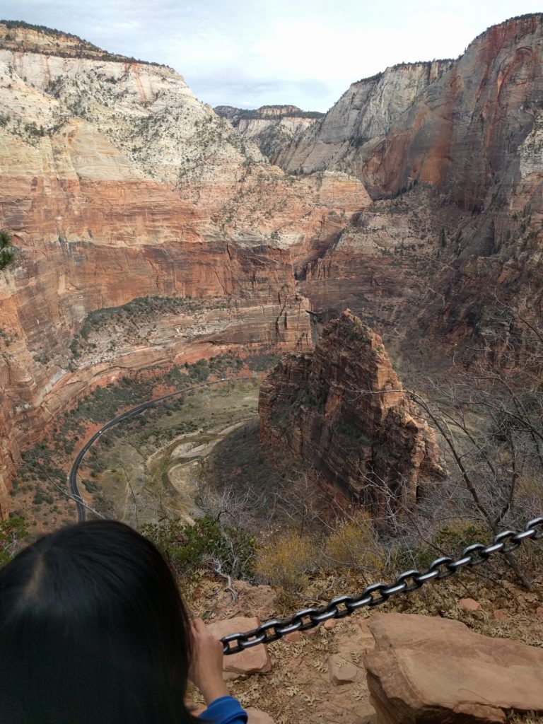 View from Angels Landing