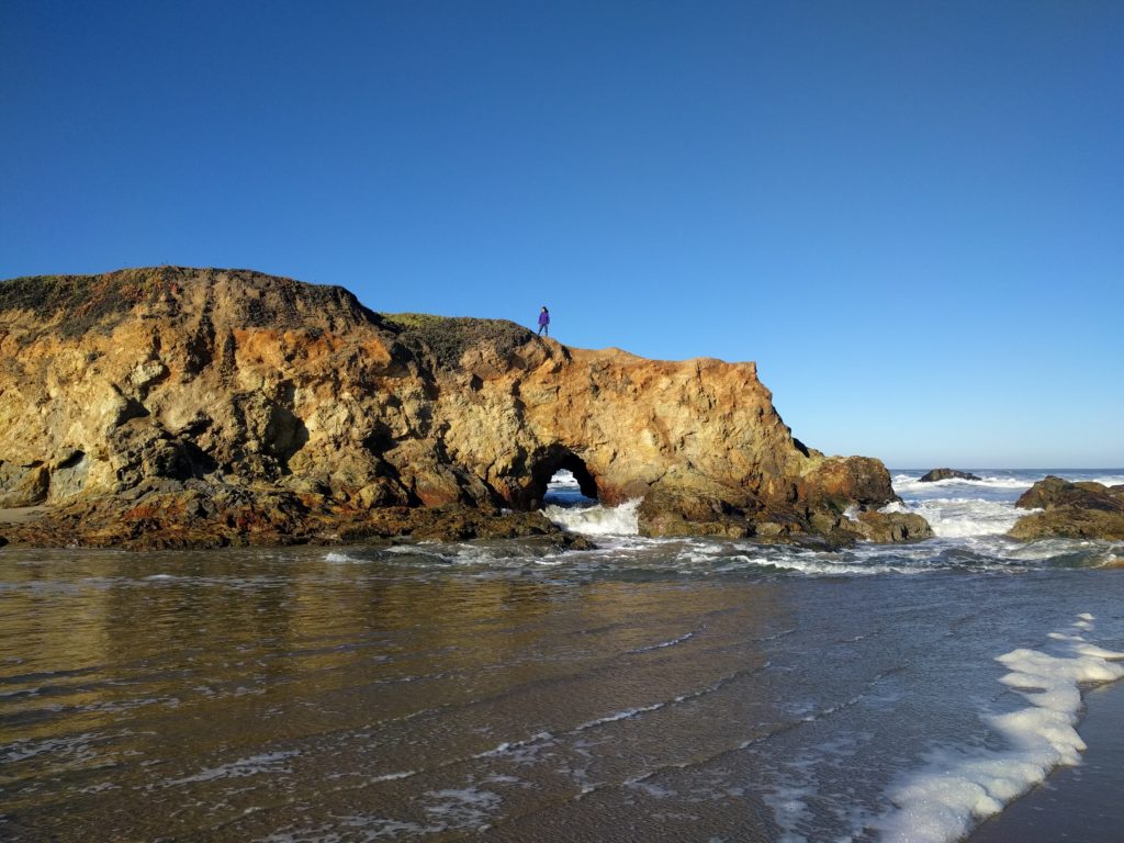 pescadero state beach