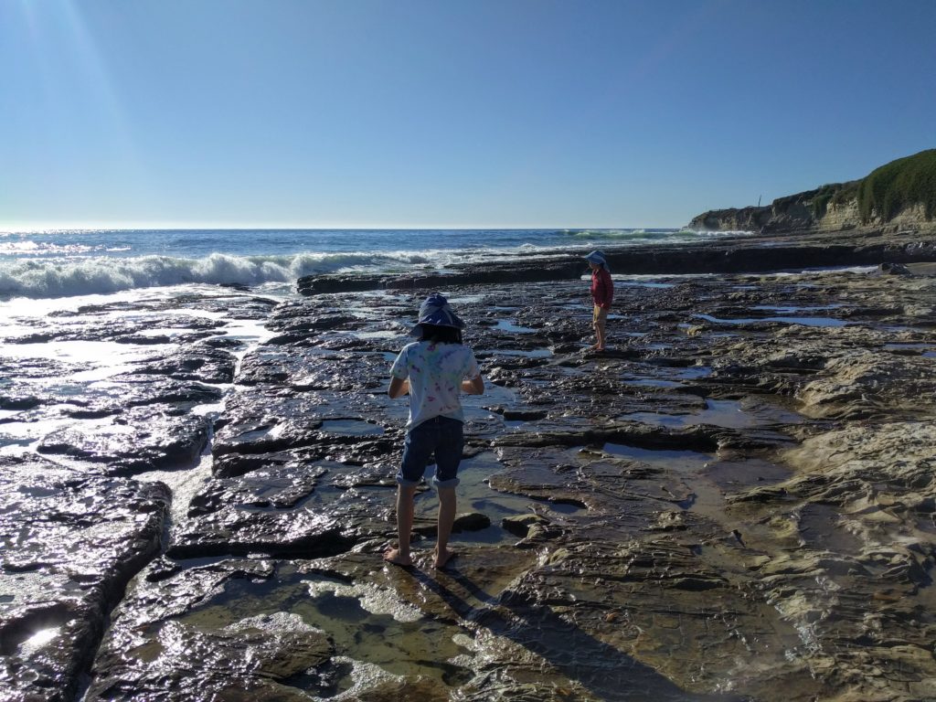 tide pooling in Santa Cruz