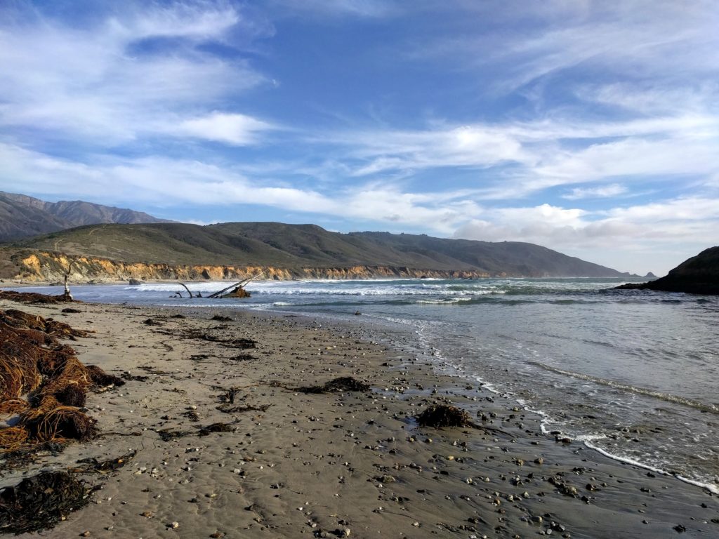 beach at Andrew Molera SP