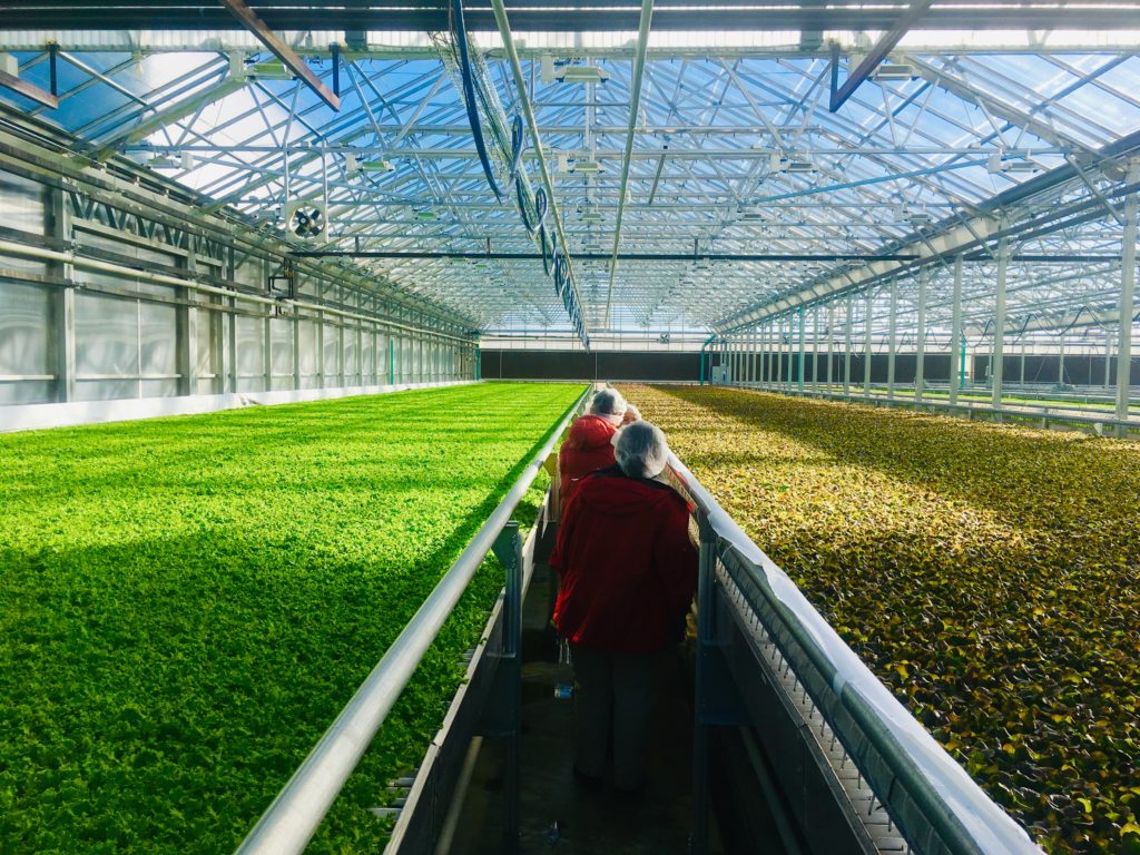 High tech green house in Vermont