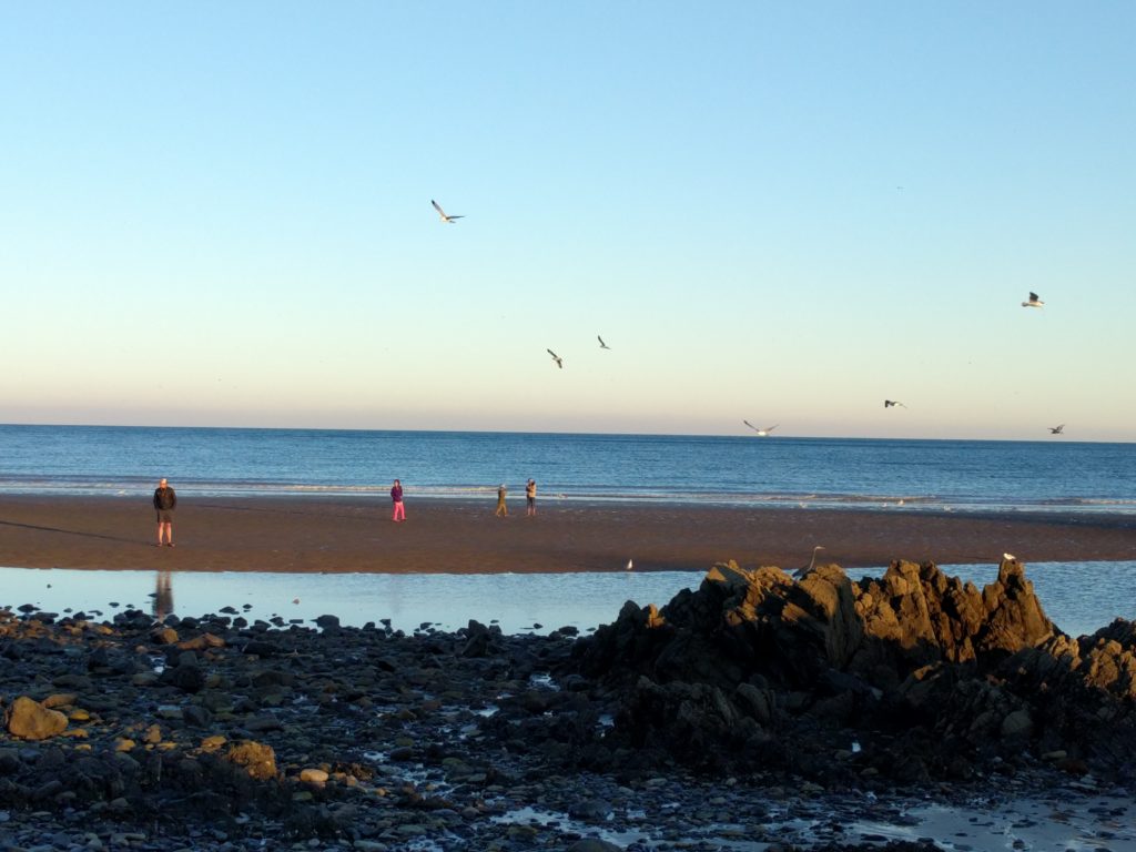 Exploring the beach.