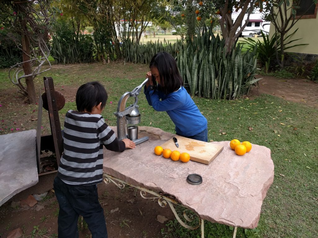 Fresh squeezed orange juice in Mulege.