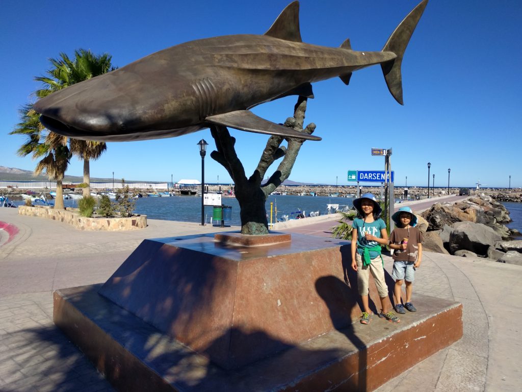 Whale shark statue.